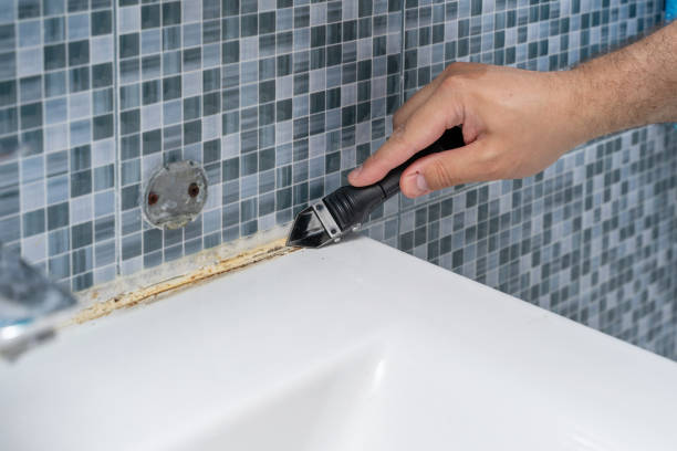 Best Mold Removal Company Near Me  in Morrisville, NY