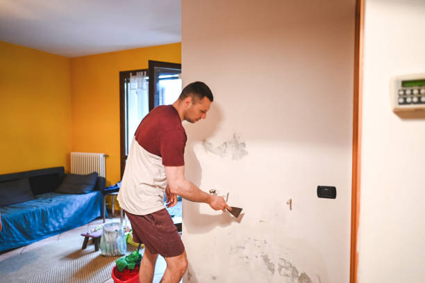 Best Mold Testing  in Morrisville, NY